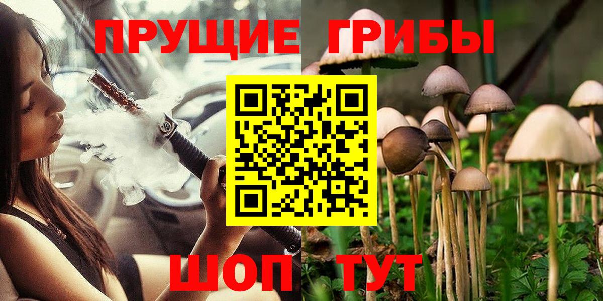 Псилоцибиновые грибы Magic Shrooms  Галлюциногенные грибы MAGIC MUSHROOMS  Черняховск  Вход с VPN 