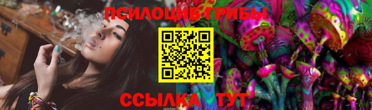 Псилоцибиновые грибы ЛСД Черняховск